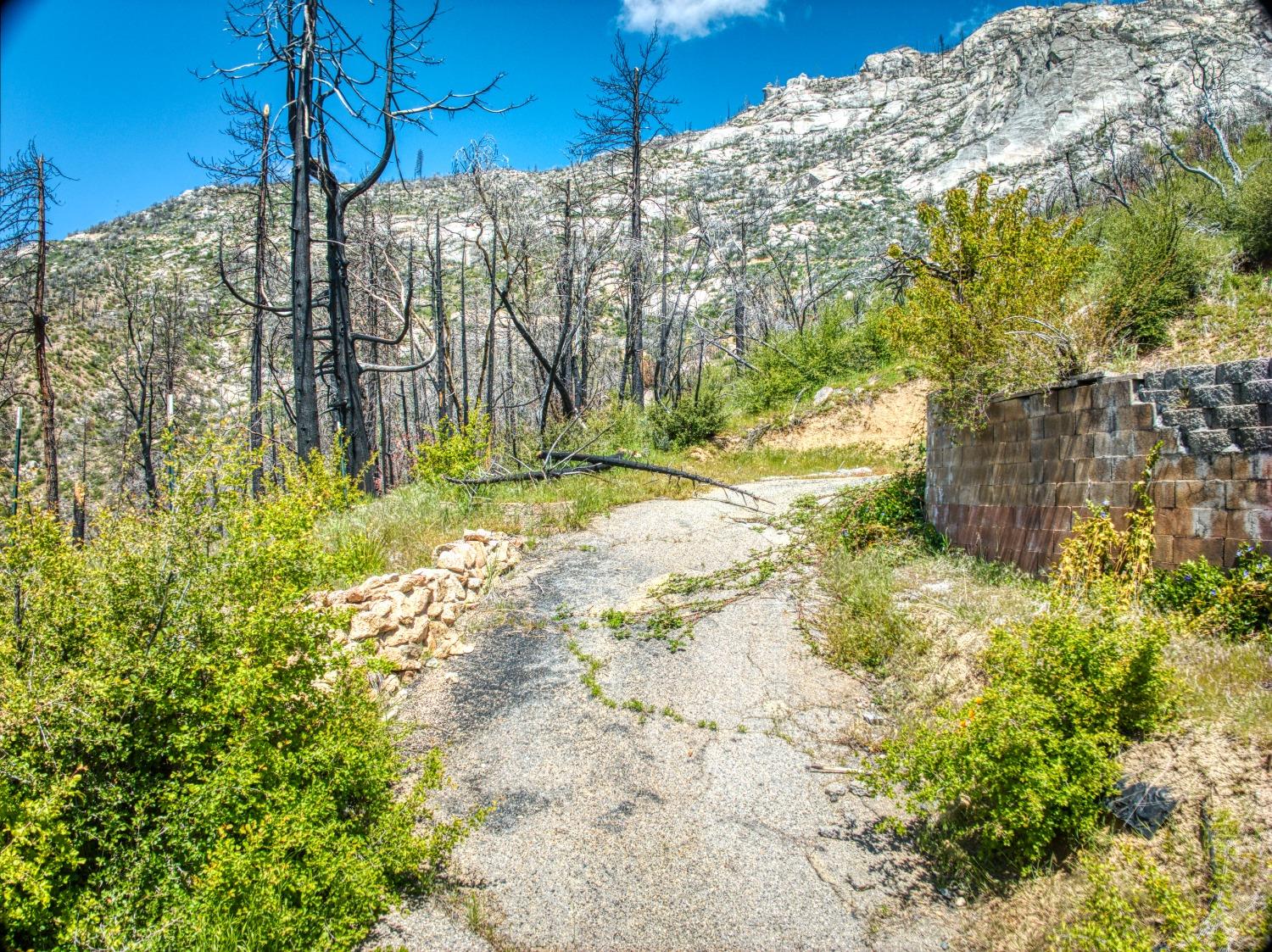 55277 Jungle Town Ln, Big Creek, CA 93605