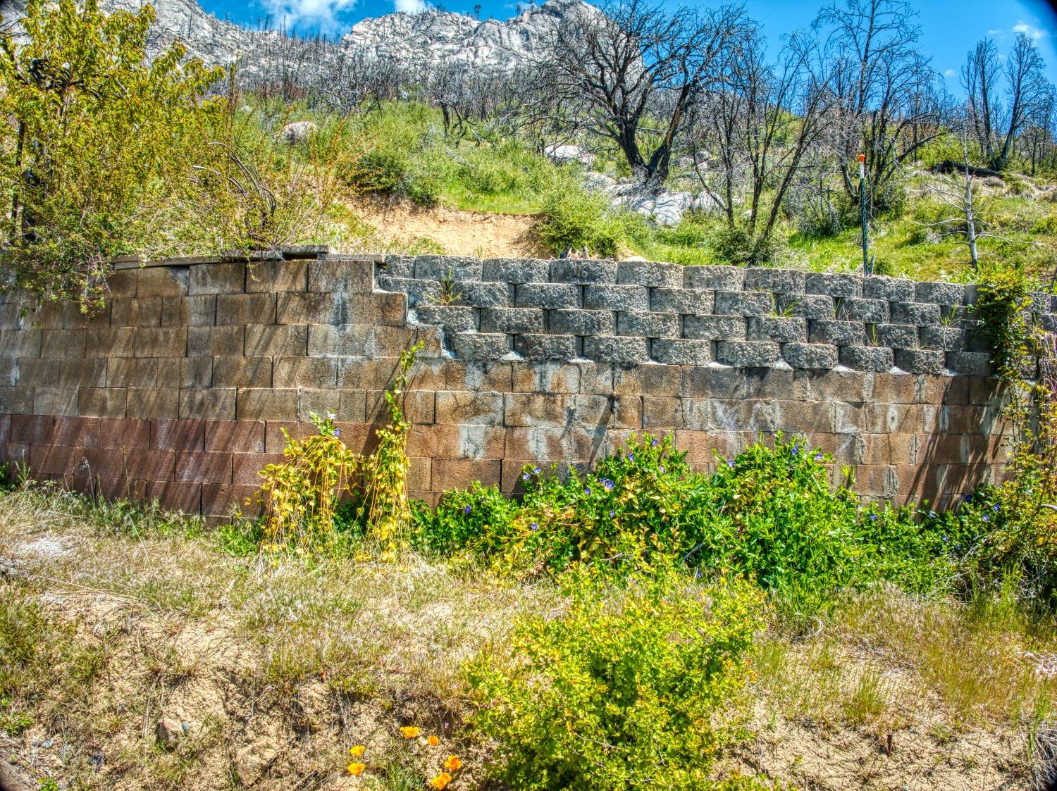 55277 Jungle Town Ln, Big Creek, CA 93605