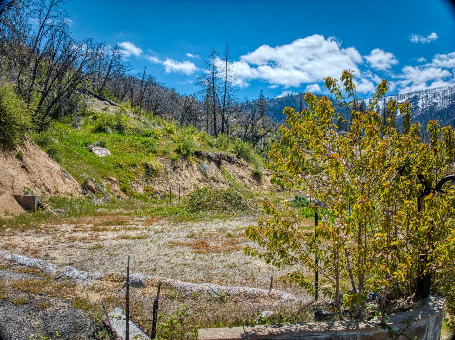 55277 Jungle Town Ln, Big Creek, CA 93605