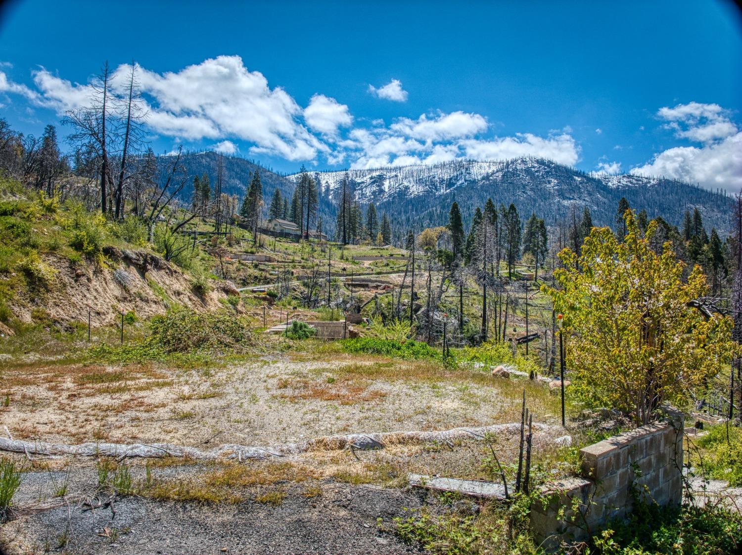 55277 Jungle Town Ln, Big Creek, CA 93605