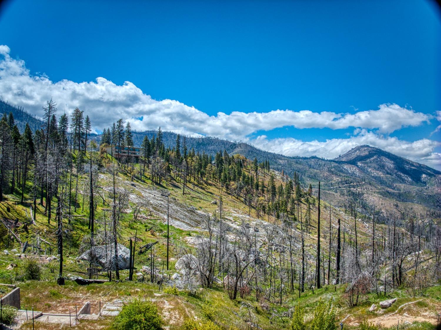 55277 Jungle Town Ln, Big Creek, CA 93605