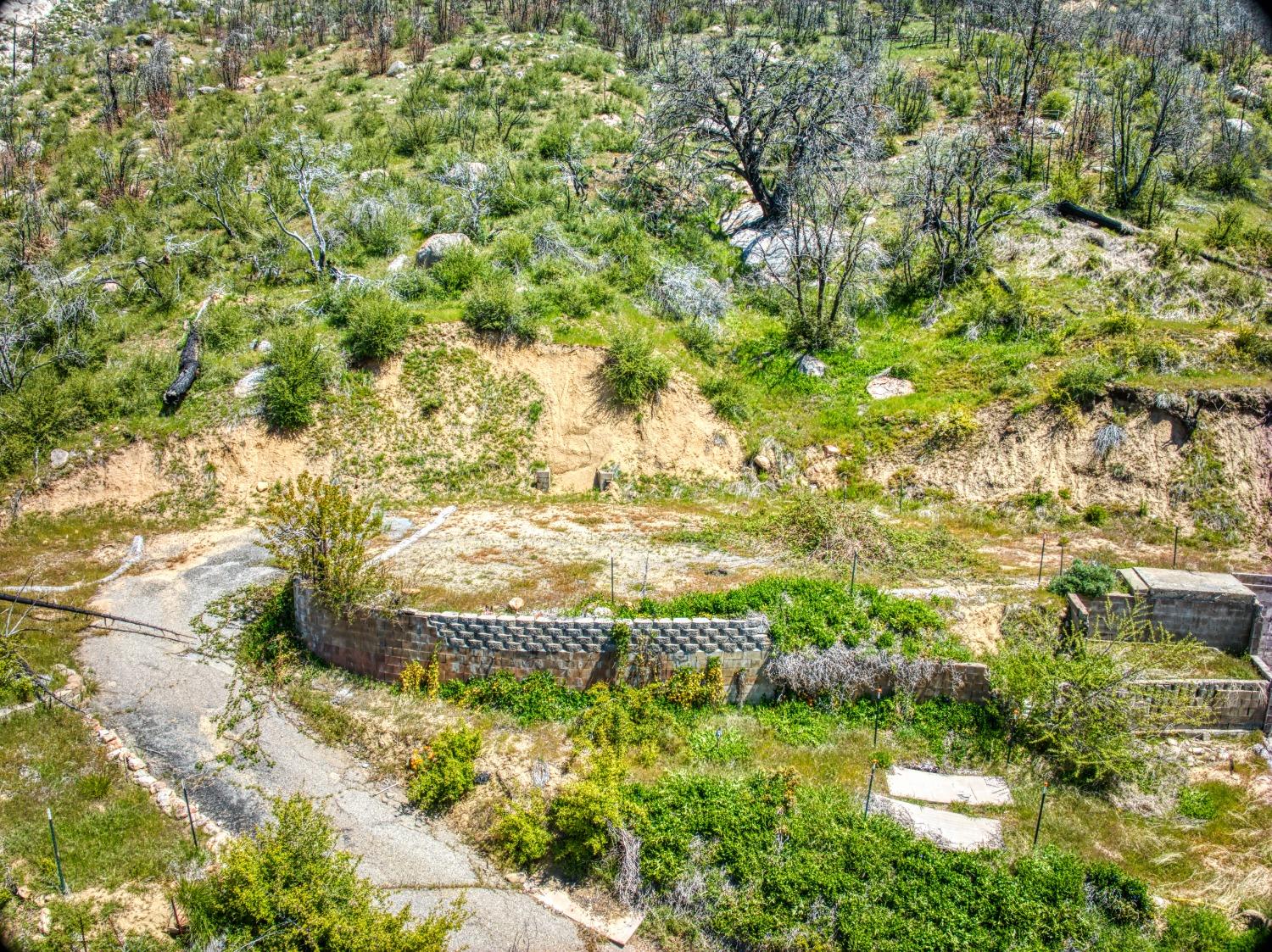 55277 Jungle Town Ln, Big Creek, CA 93605