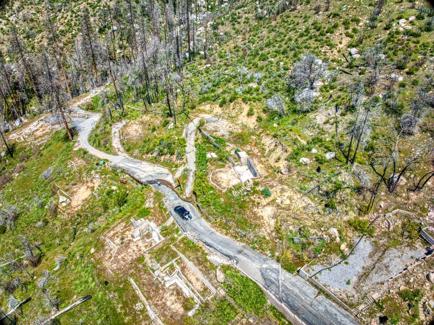 55277 Jungle Town Ln, Big Creek, CA 93605