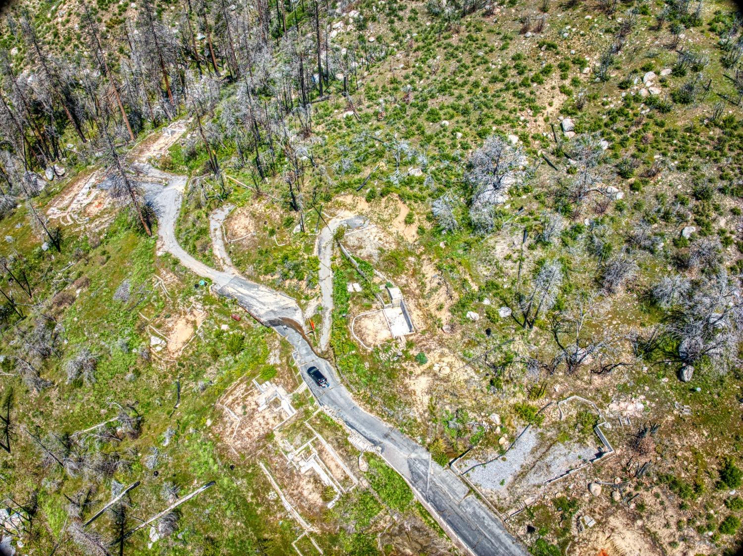 55277 Jungle Town Ln, Big Creek, CA 93605