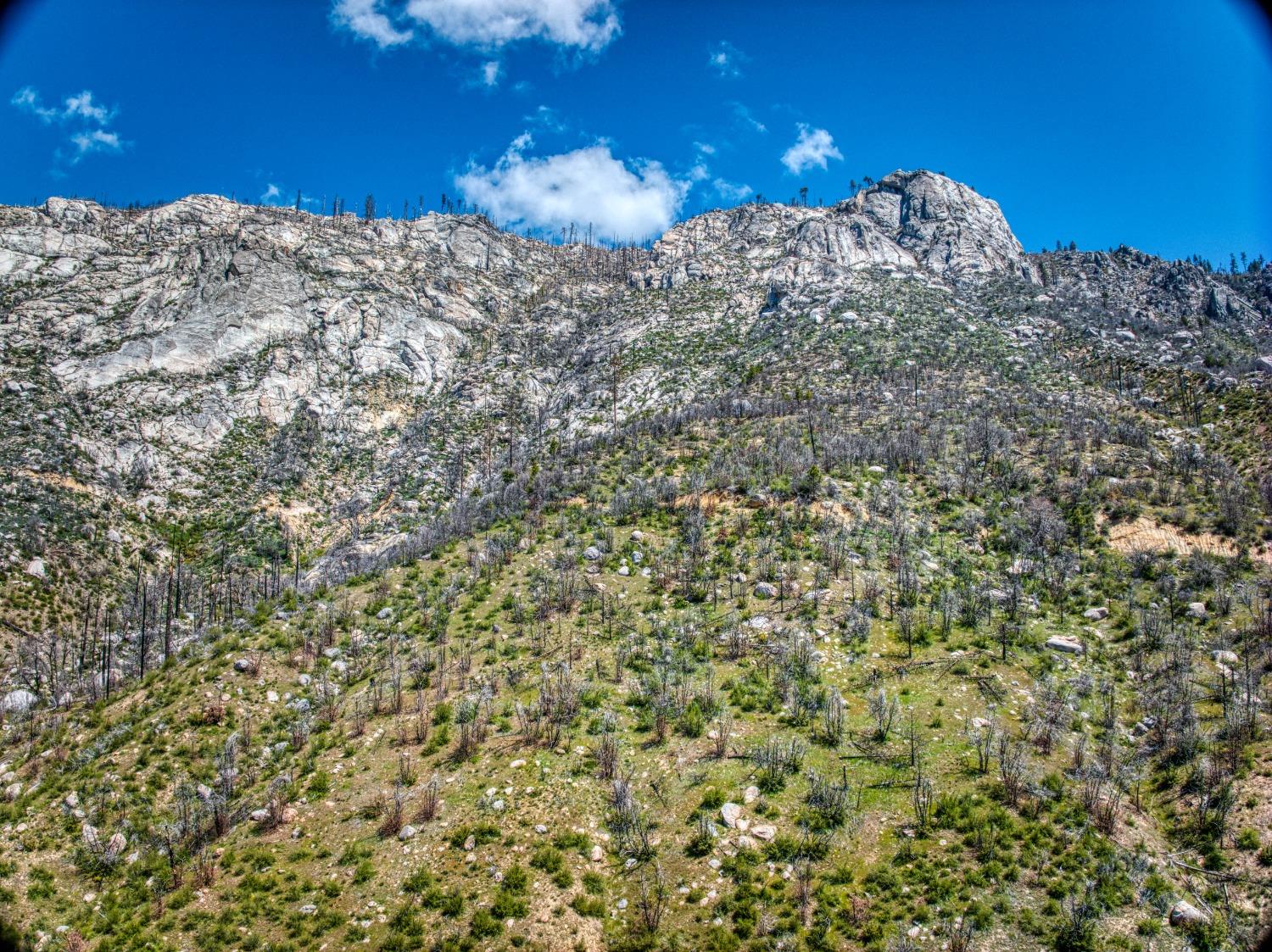 55277 Jungle Town Ln, Big Creek, CA 93605