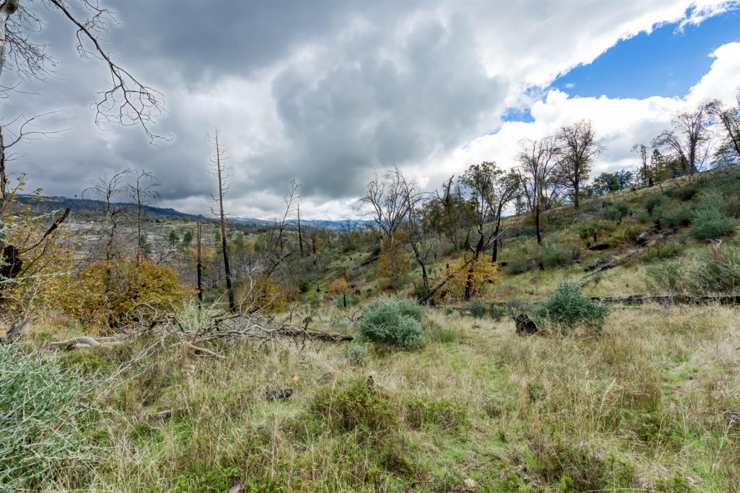 34327 Shaver Springs Rd, Auberry, CA 93602