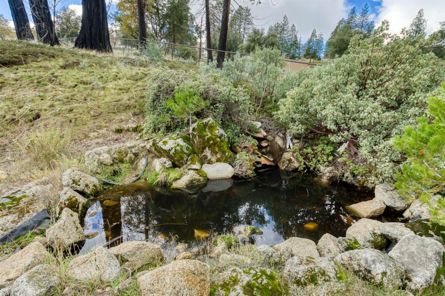 34327 Shaver Springs Rd, Auberry, CA 93602