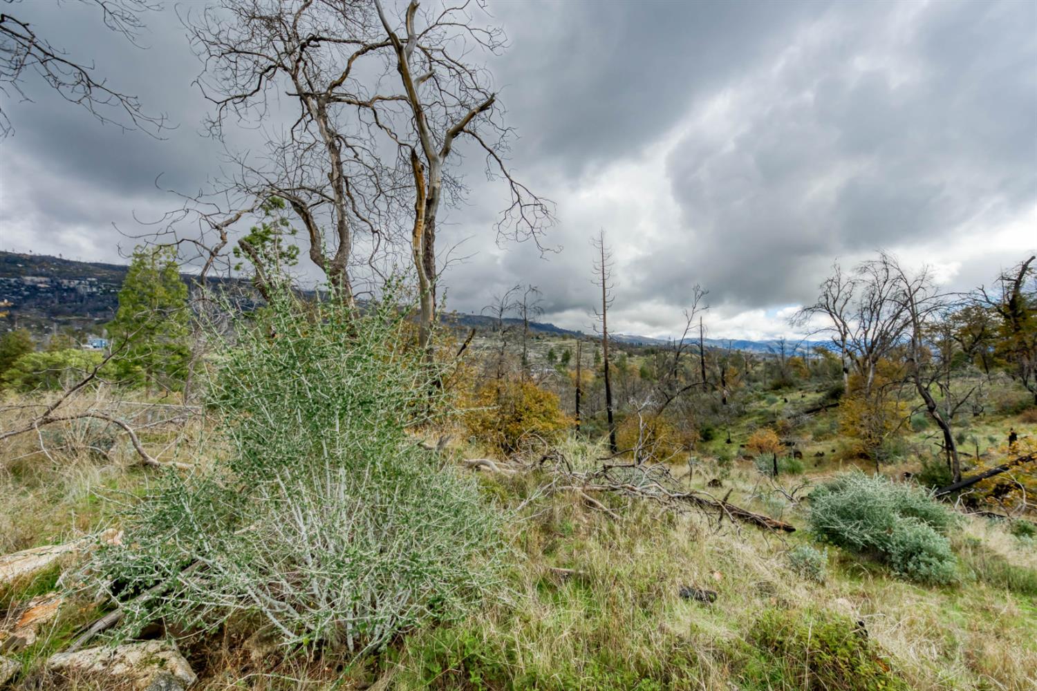 34327 Shaver Springs Rd, Auberry, CA 93602
