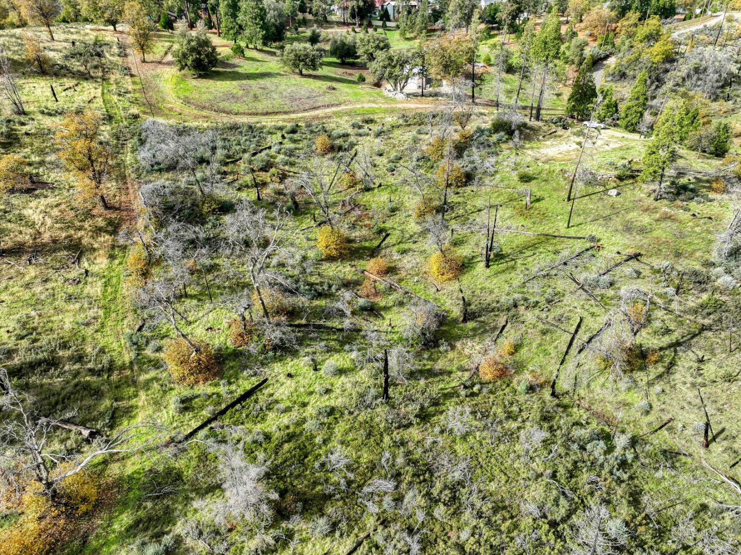 34327 Shaver Springs Rd, Auberry, CA 93602