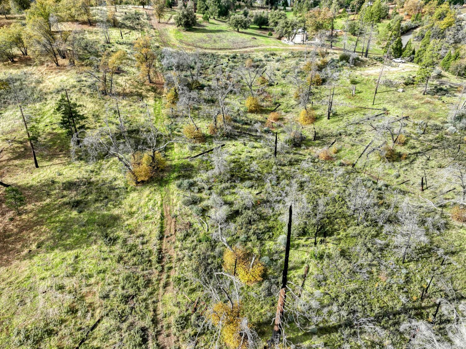 34327 Shaver Springs Rd, Auberry, CA 93602