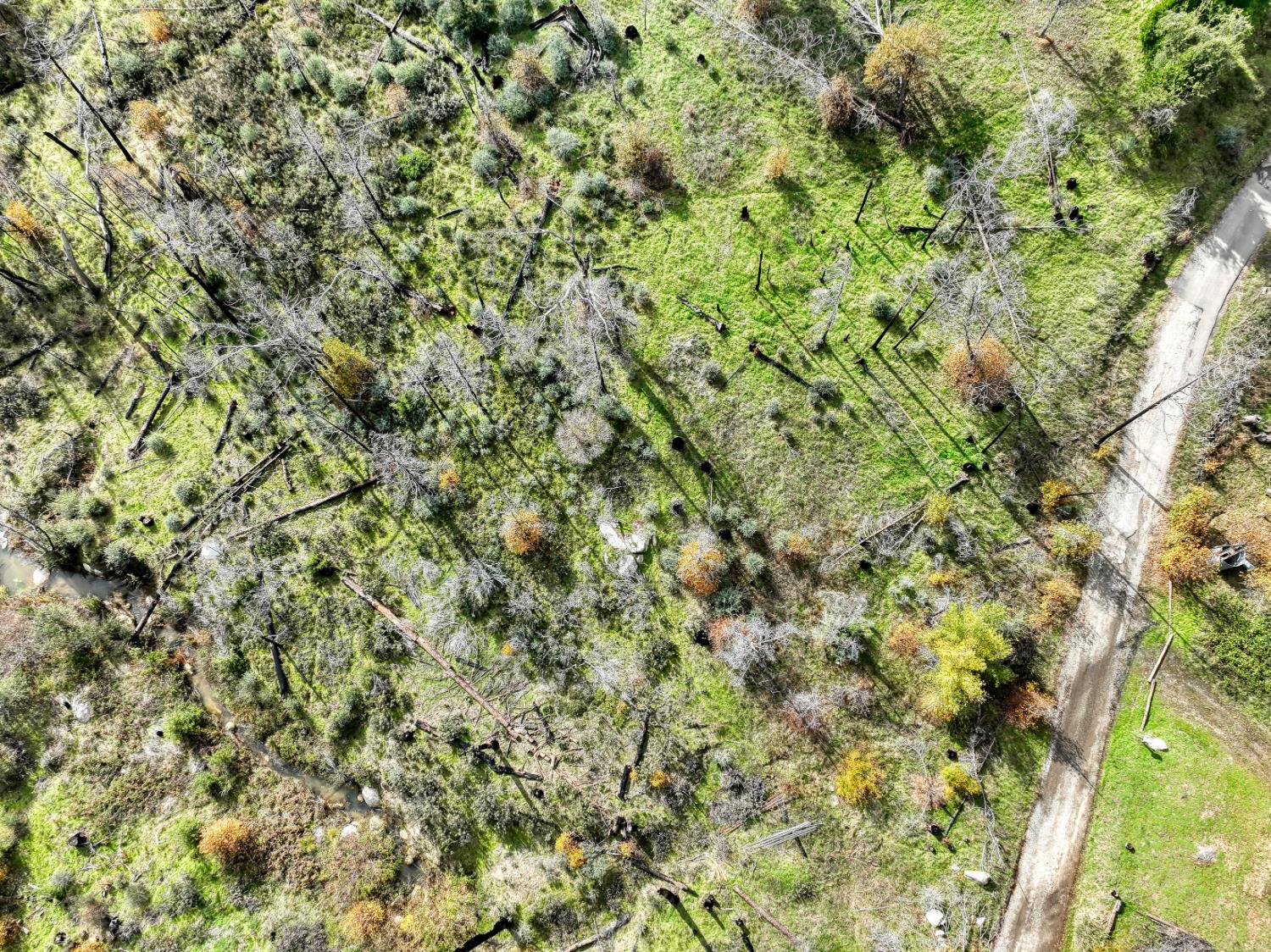 34327 Shaver Springs Rd, Auberry, CA 93602