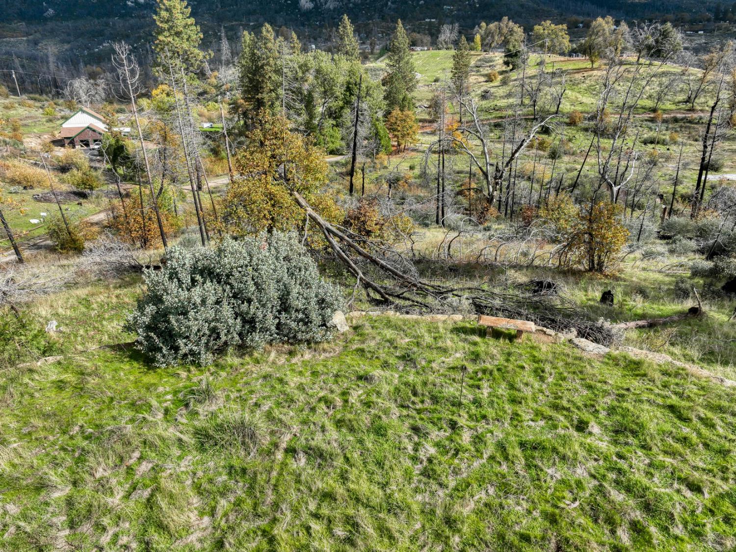 34327 Shaver Springs Rd, Auberry, CA 93602