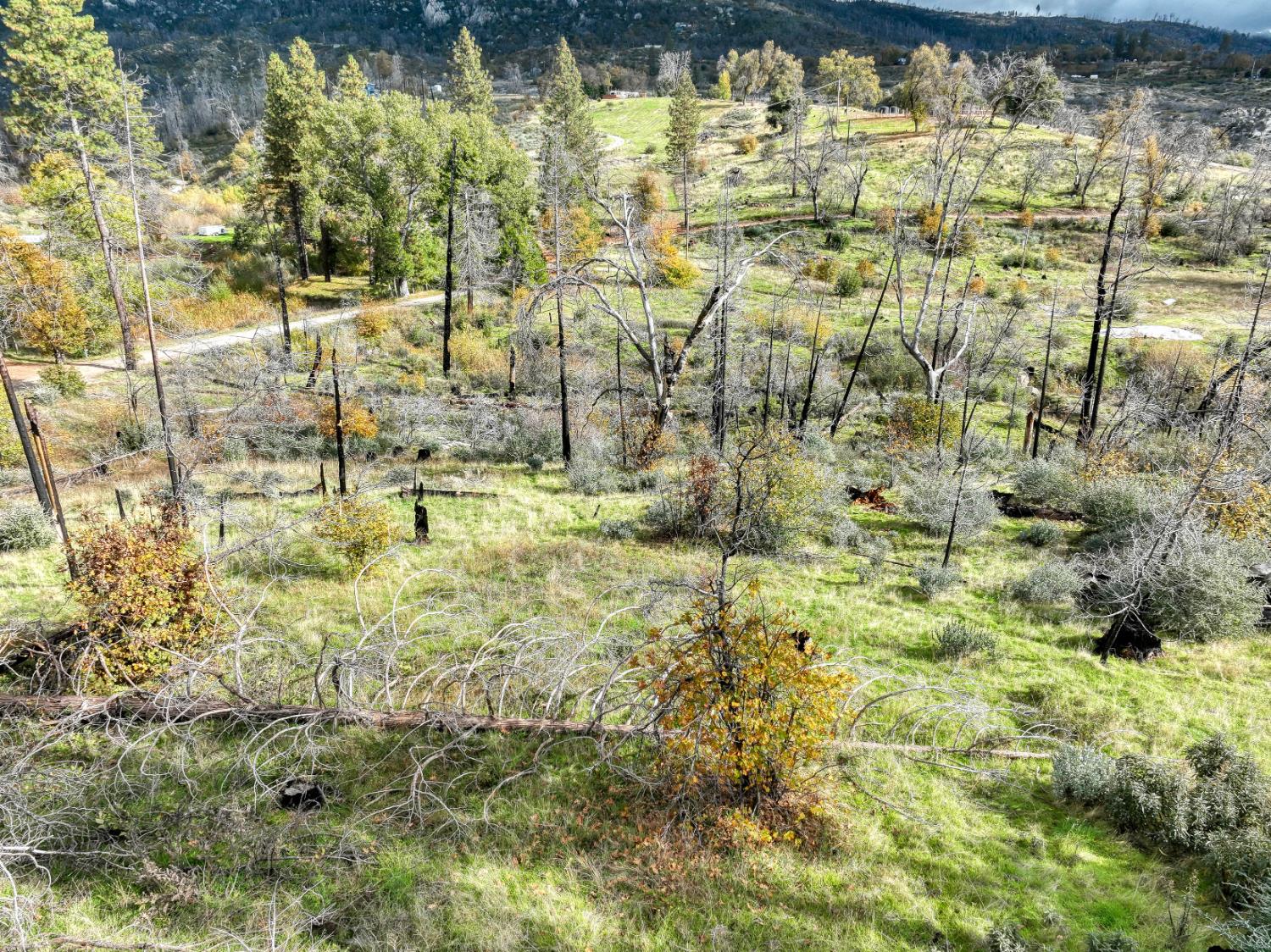 34327 Shaver Springs Rd, Auberry, CA 93602