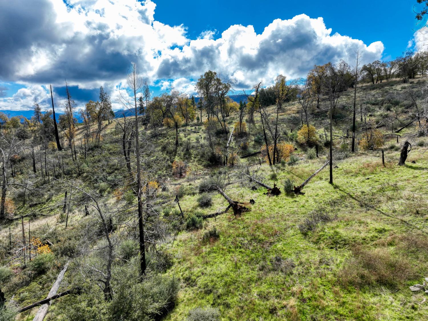 34327 Shaver Springs Rd, Auberry, CA 93602