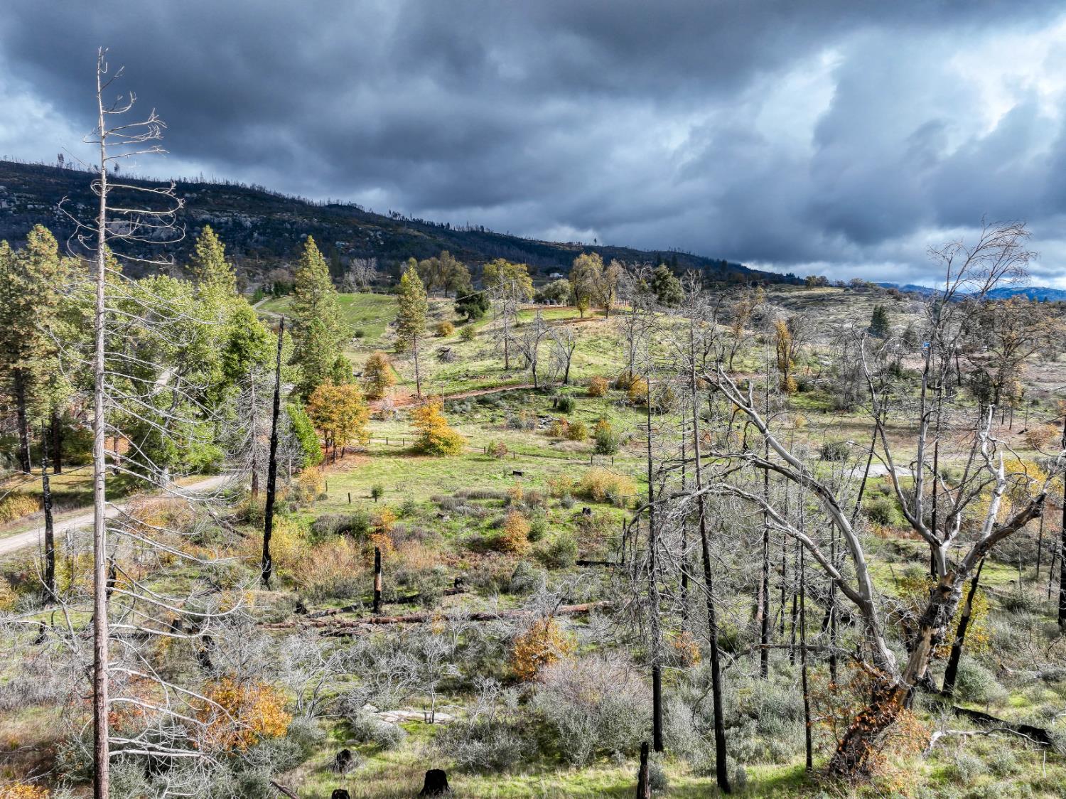 34327 Shaver Springs Rd, Auberry, CA 93602