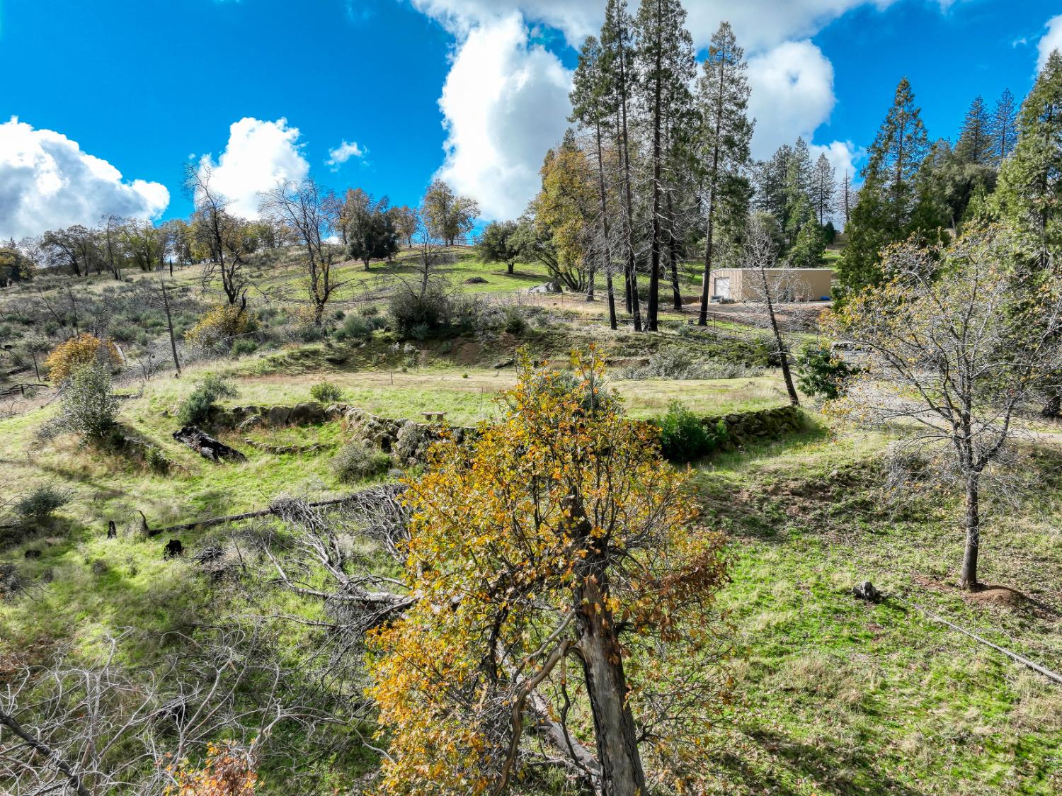 34327 Shaver Springs Rd, Auberry, CA 93602