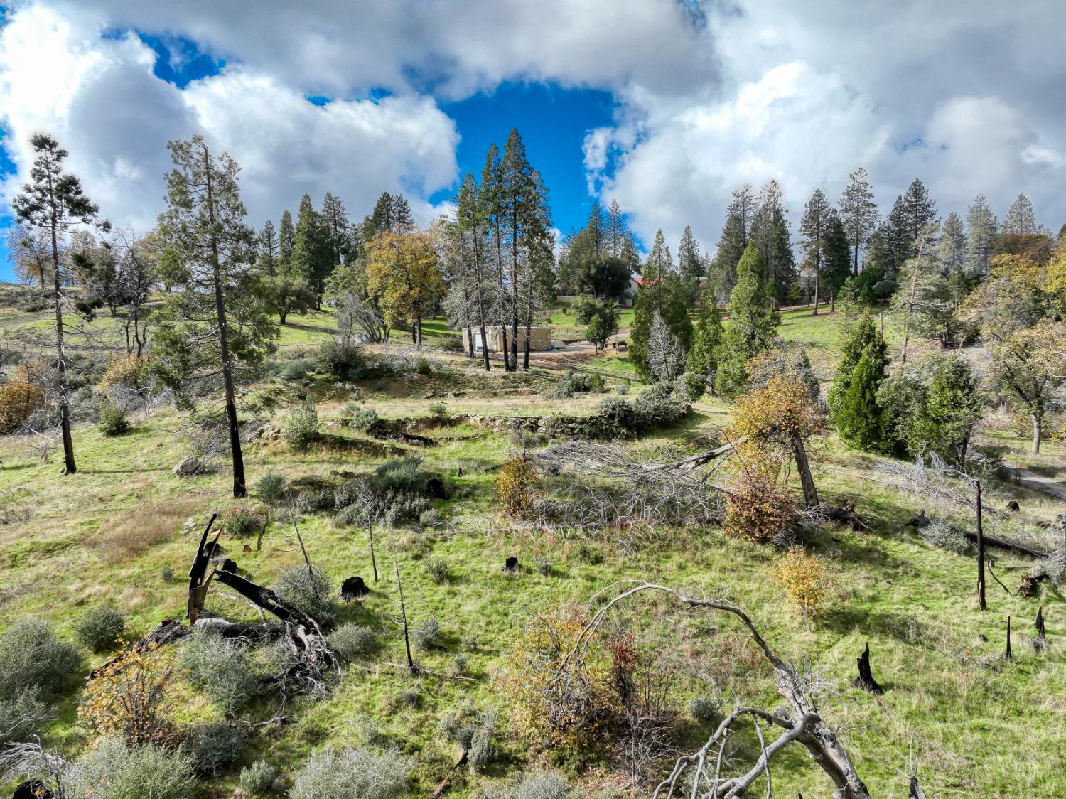 34327 Shaver Springs Rd, Auberry, CA 93602