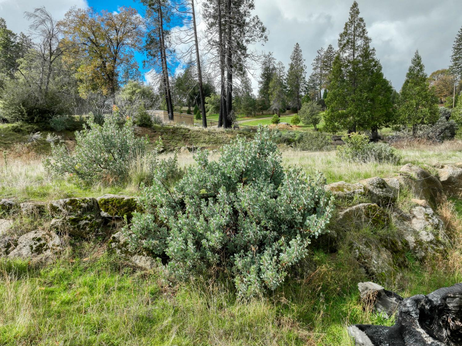 34327 Shaver Springs Rd, Auberry, CA 93602