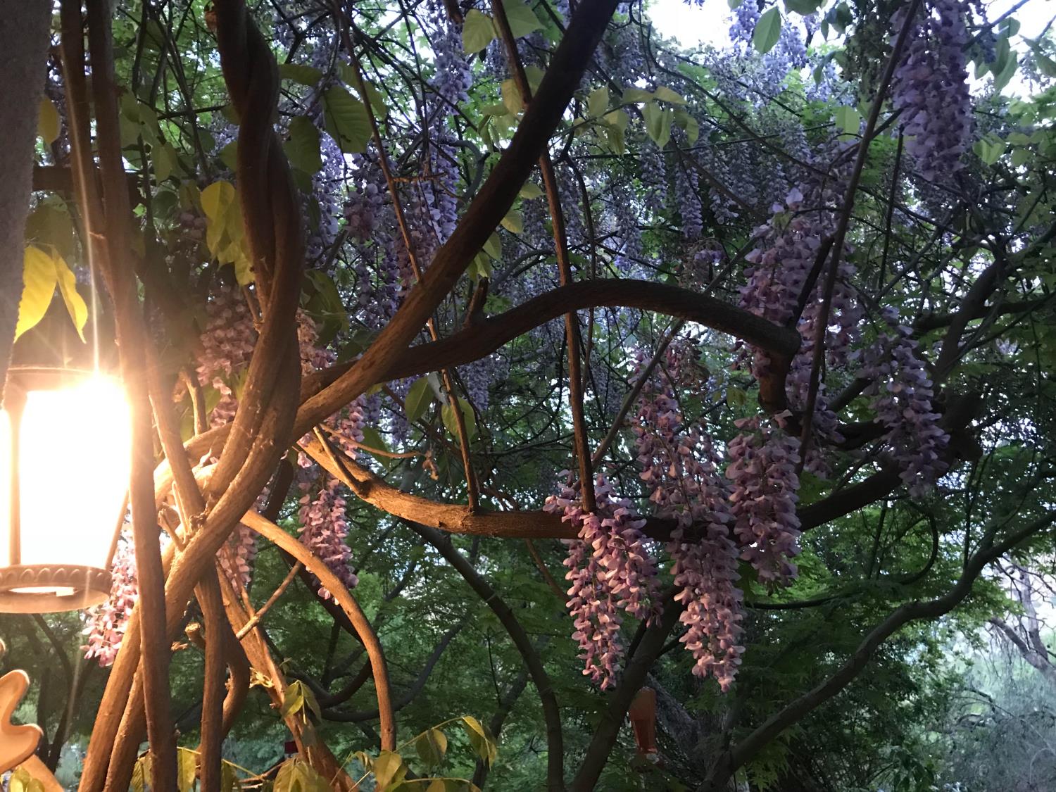 40820 Oak Ridge, Three Rivers, CA 93271