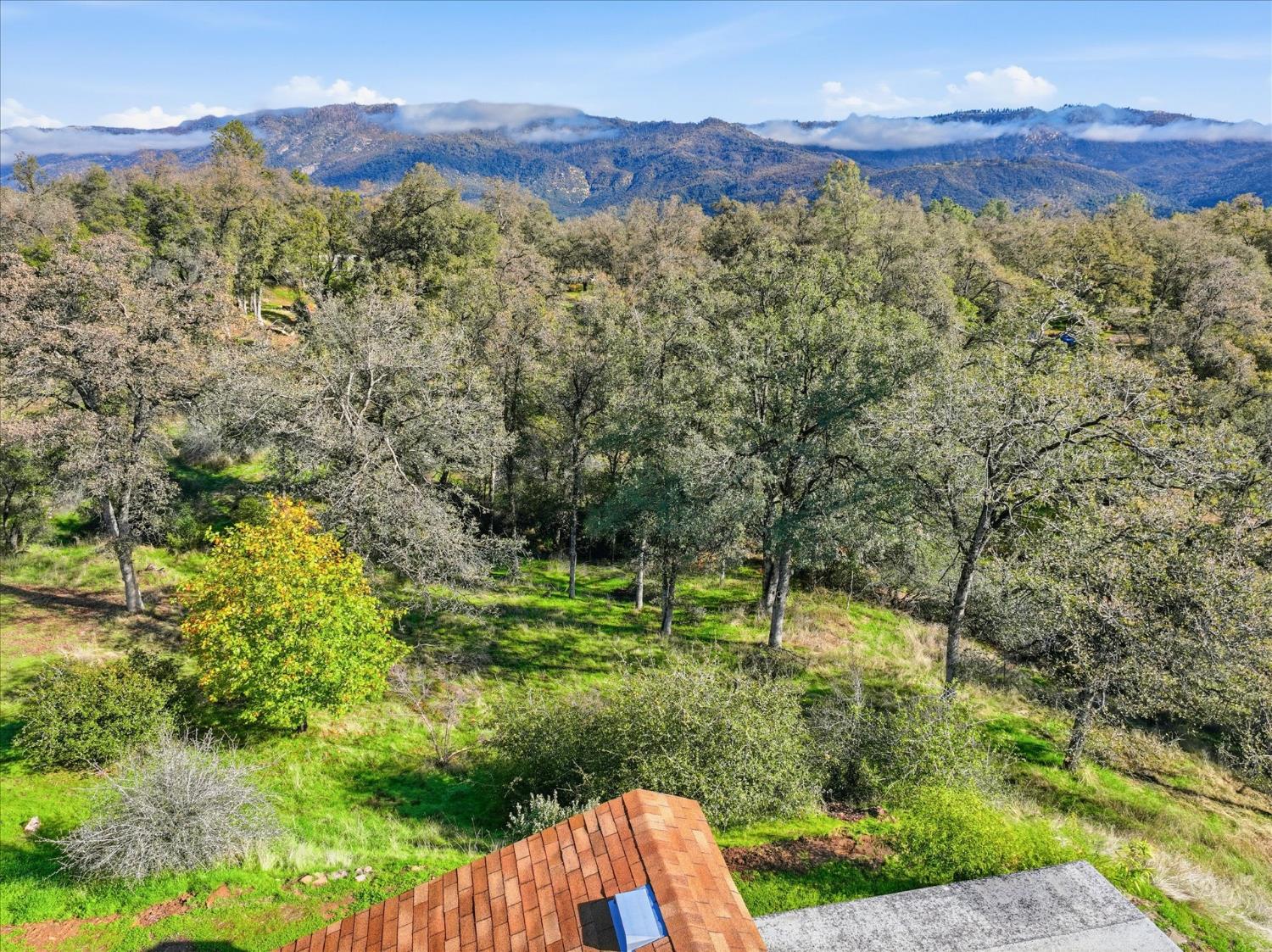 32169 Maranatha Dr, North Fork, CA 93643