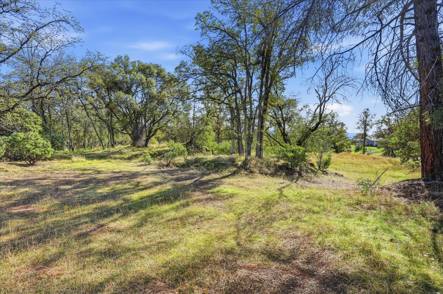 32169 Maranatha Dr, North Fork, CA 93643