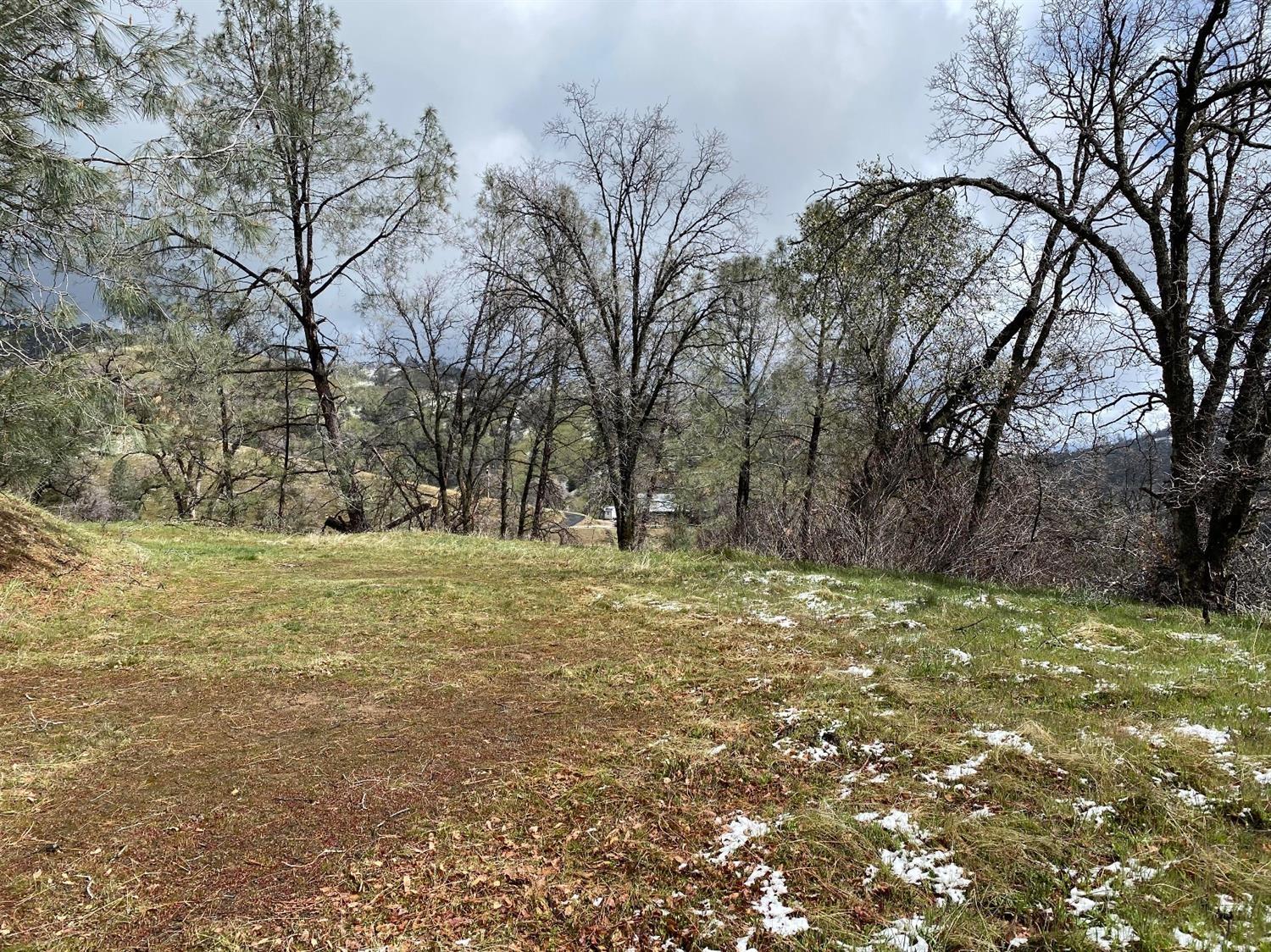 1 Hummingbird Ln, Coarsegold, CA 93614