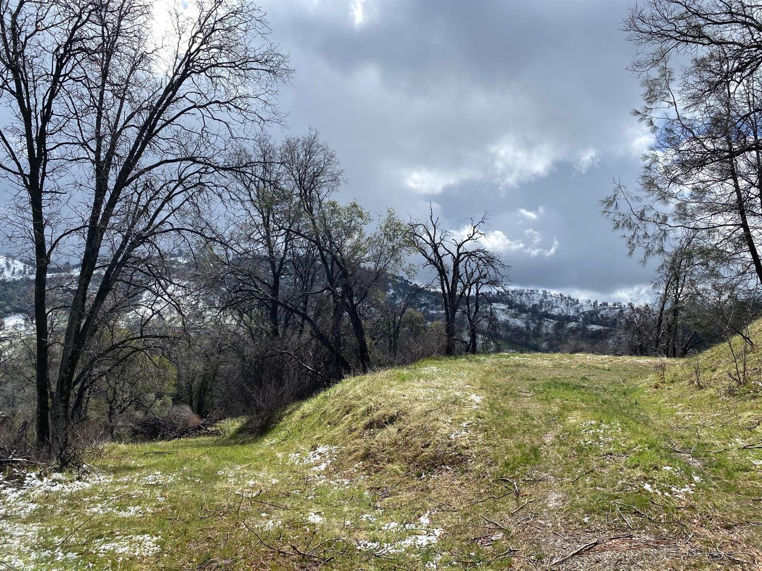 1 Hummingbird Ln, Coarsegold, CA 93614