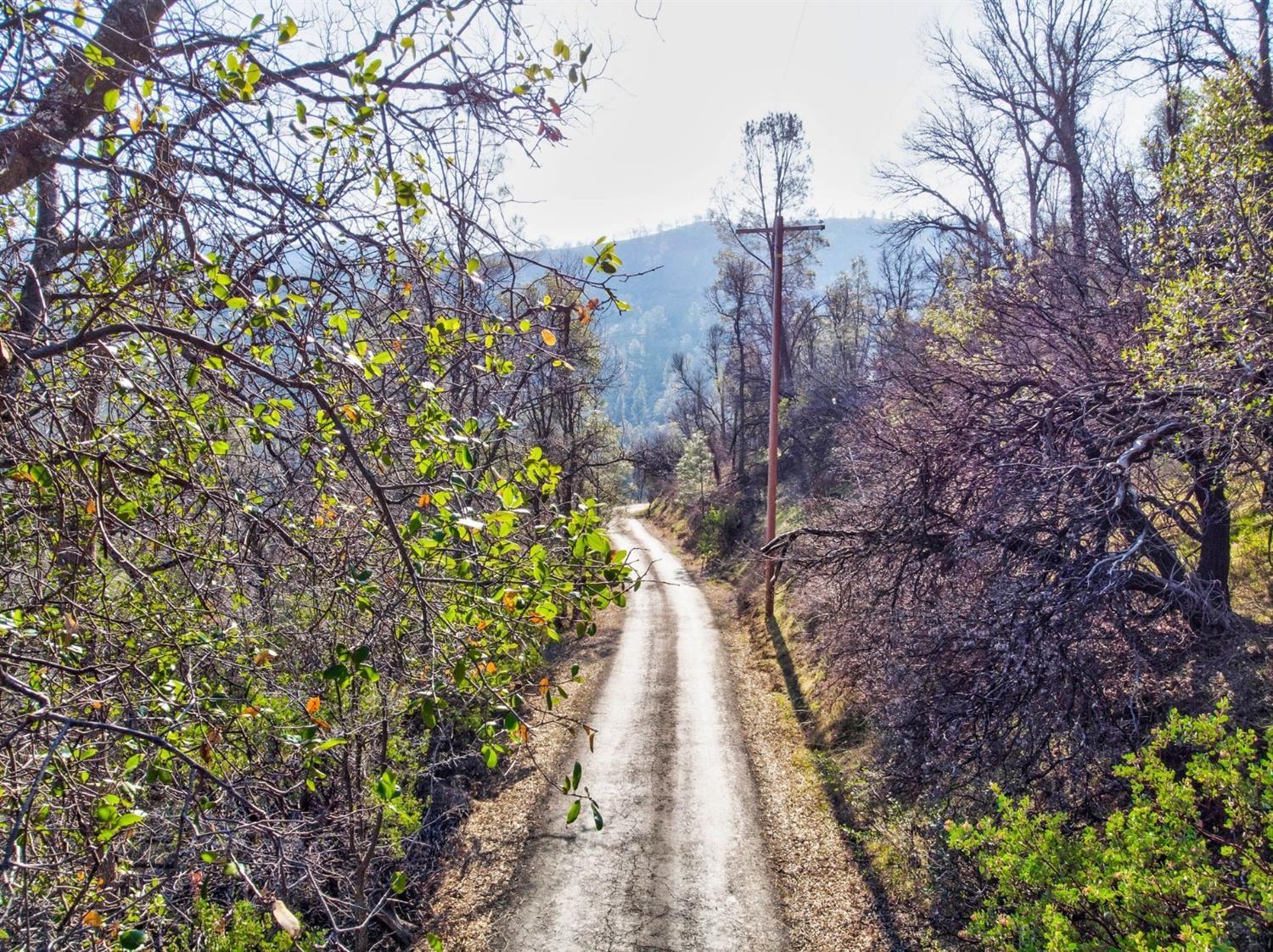 1 Hummingbird Ln, Coarsegold, CA 93614