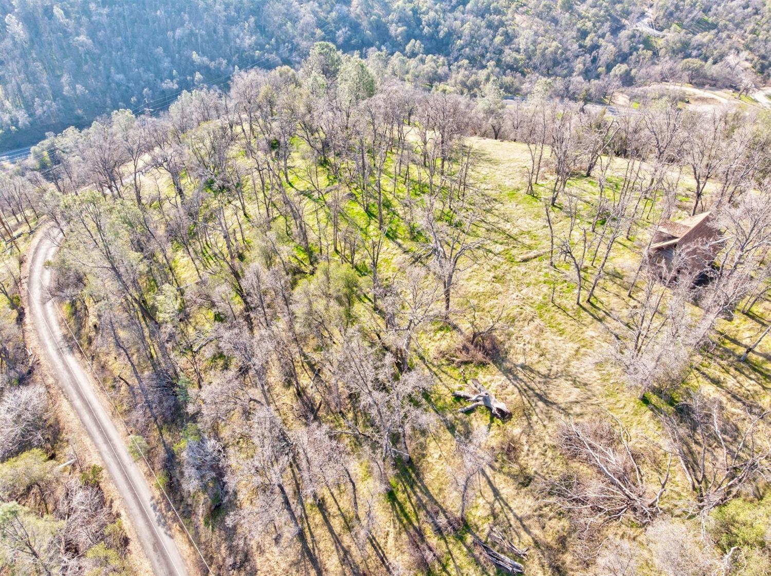 1 Hummingbird Ln, Coarsegold, CA 93614