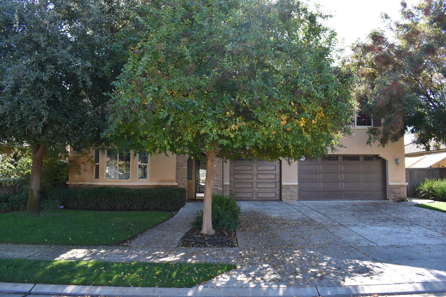 3154 Mitchell Ave, Clovis, CA 93619