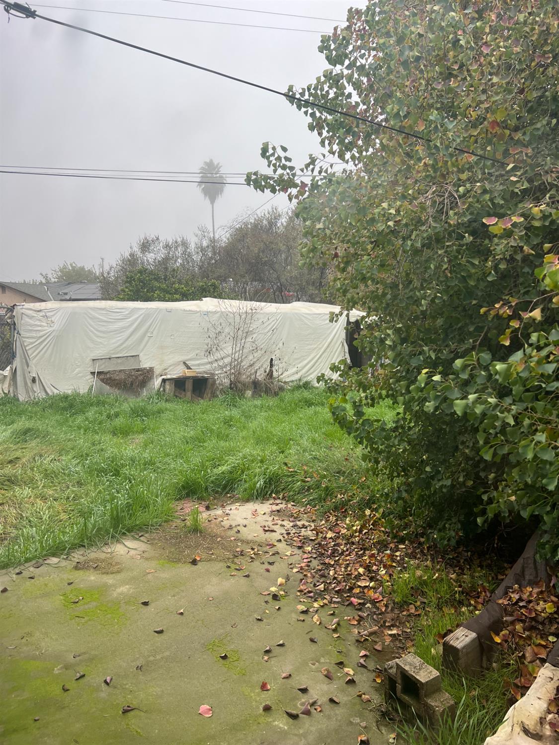 1167 Cling Cir, Hanford, CA 93230