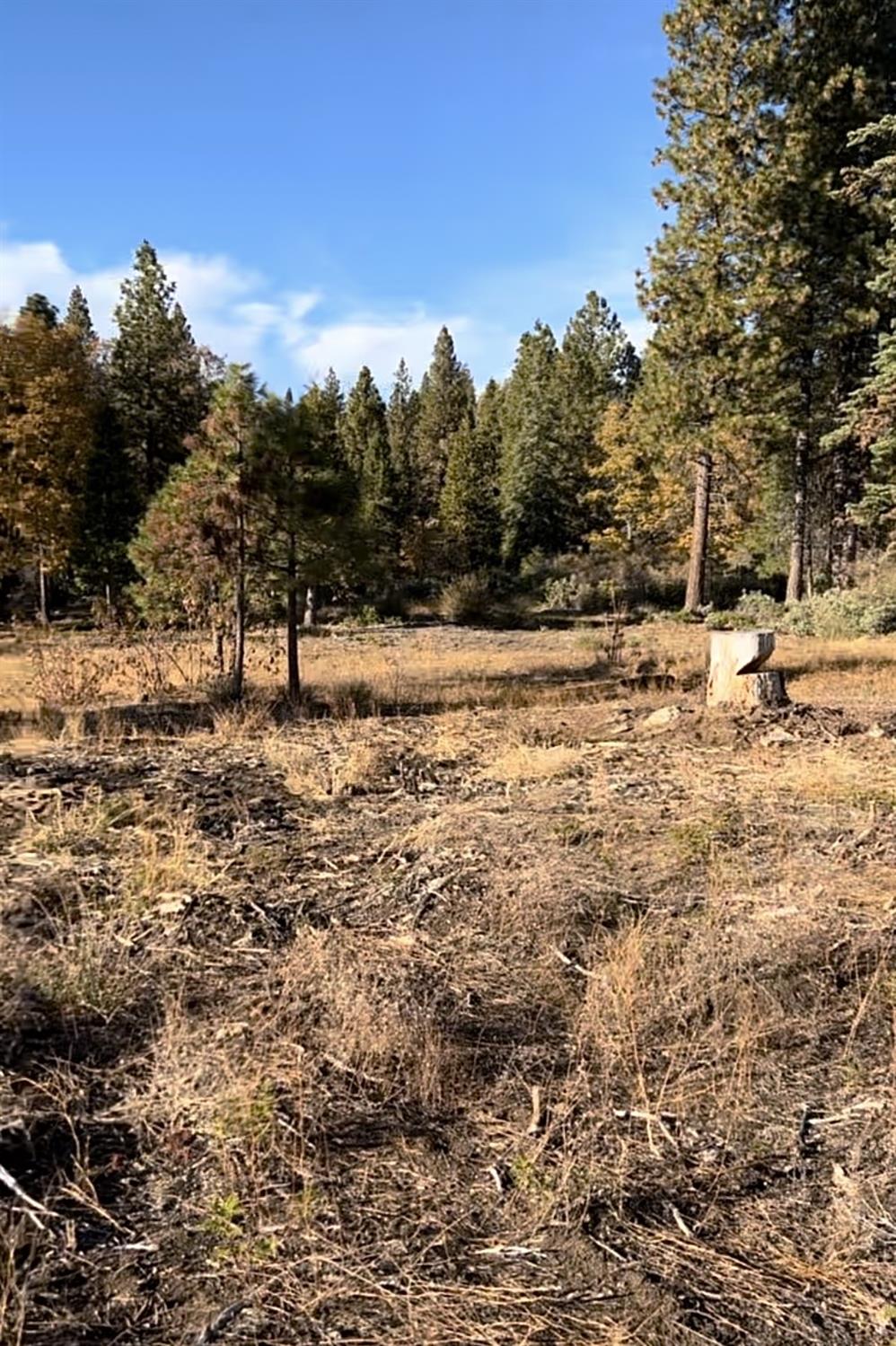 0 00 Shaver Lake, Auberry, CA 93602