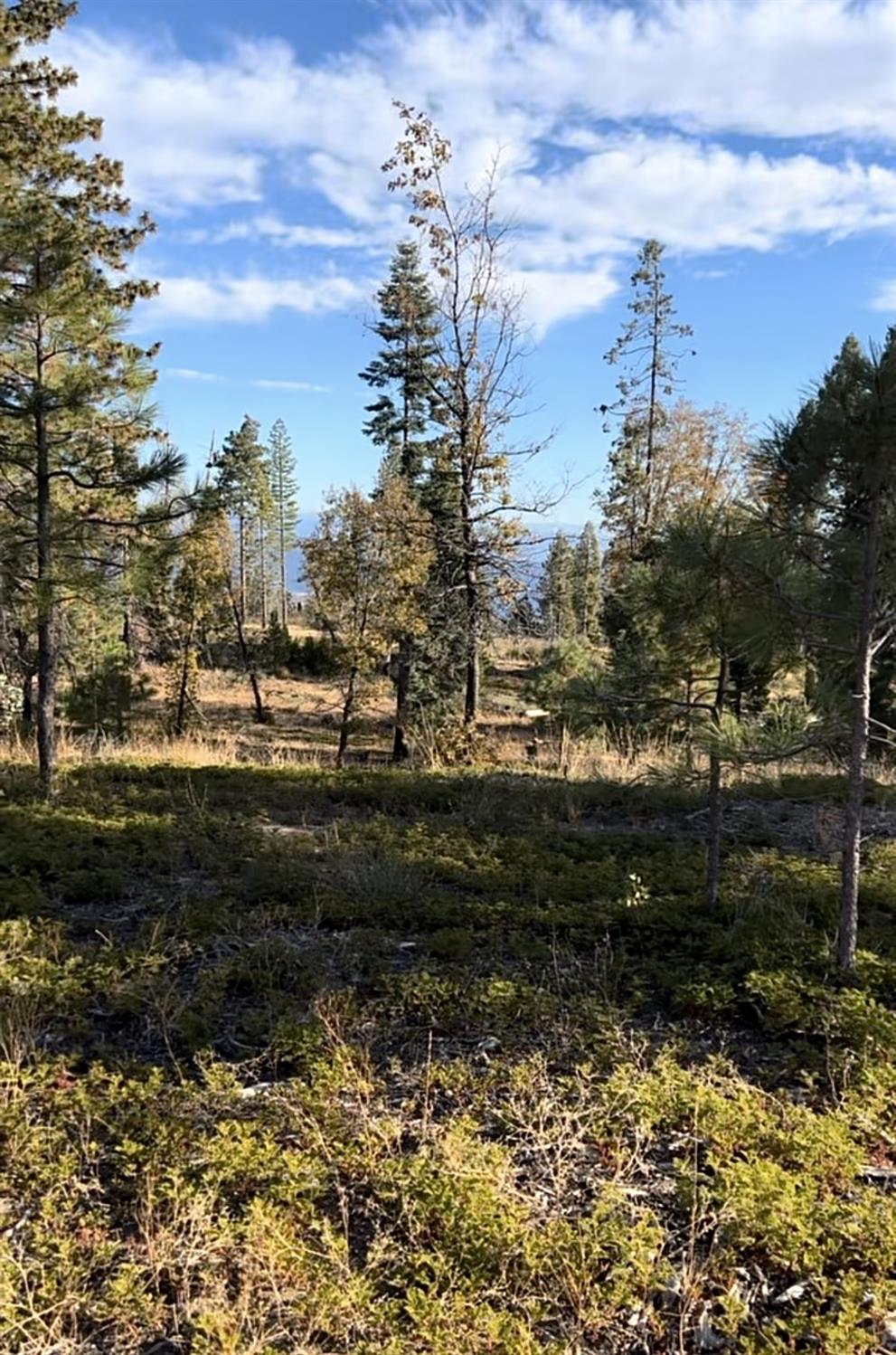 0 00 Shaver Lake, Auberry, CA 93602