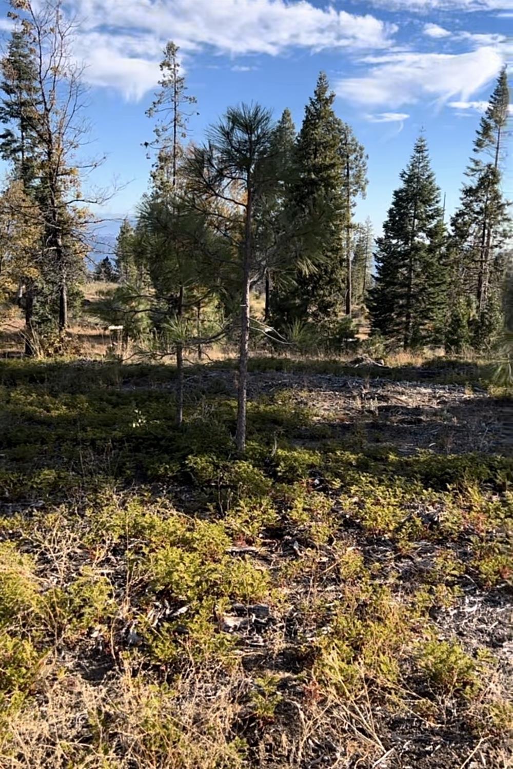 0 00 Shaver Lake, Auberry, CA 93602