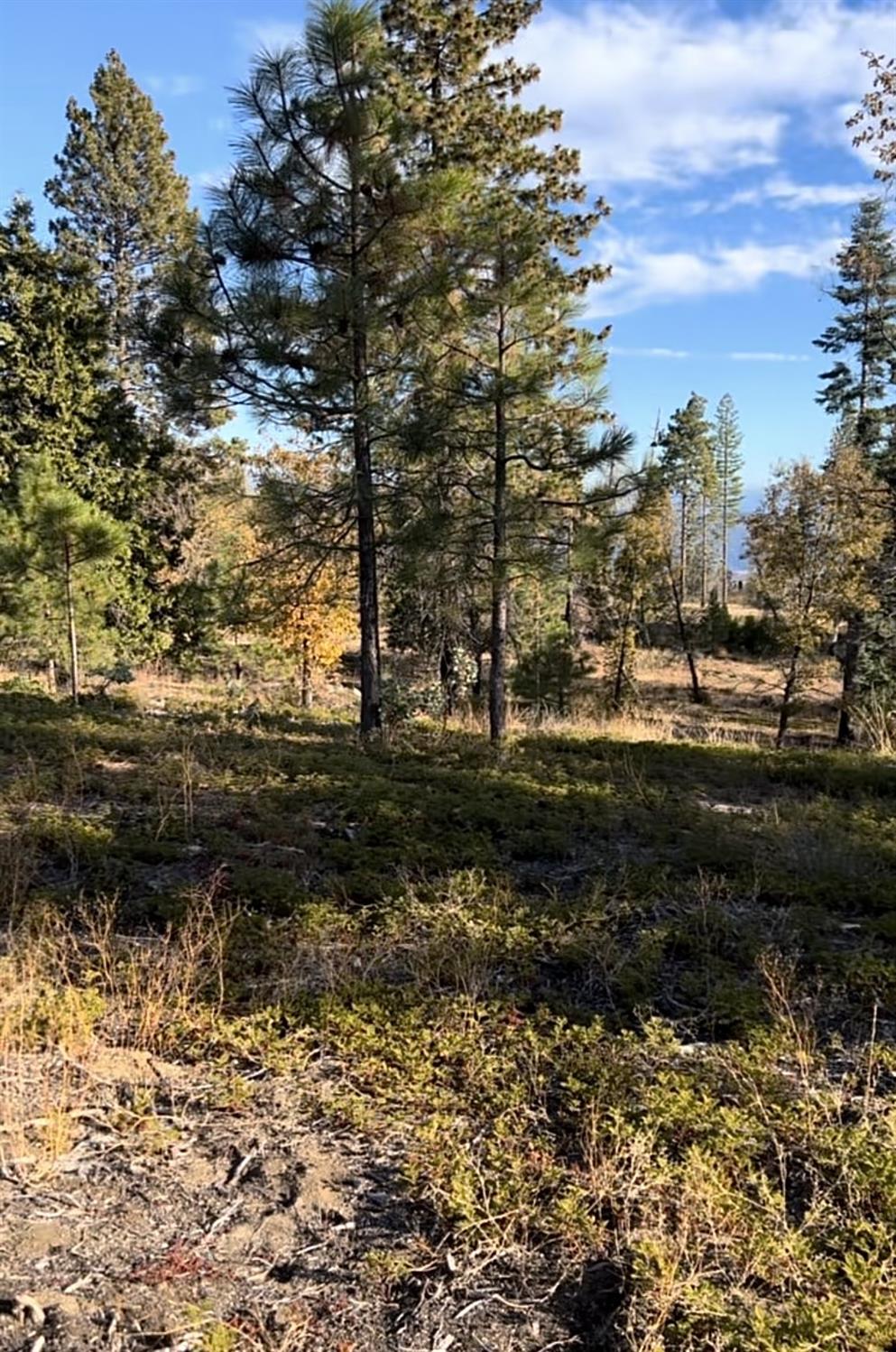 0 00 Shaver Lake, Auberry, CA 93602