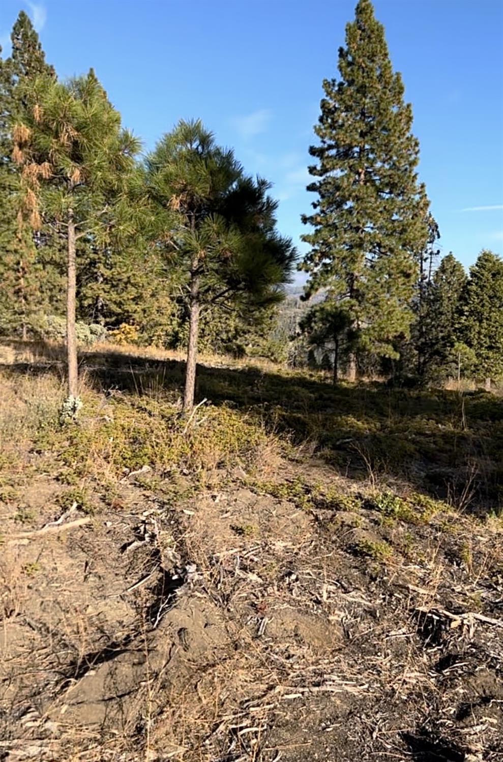 0 00 Shaver Lake, Auberry, CA 93602