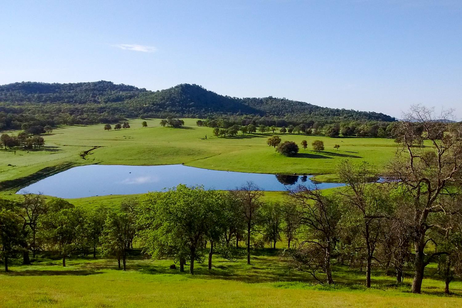 35294 Ruth Hill Rd, Yokuts Valley, CA 93675