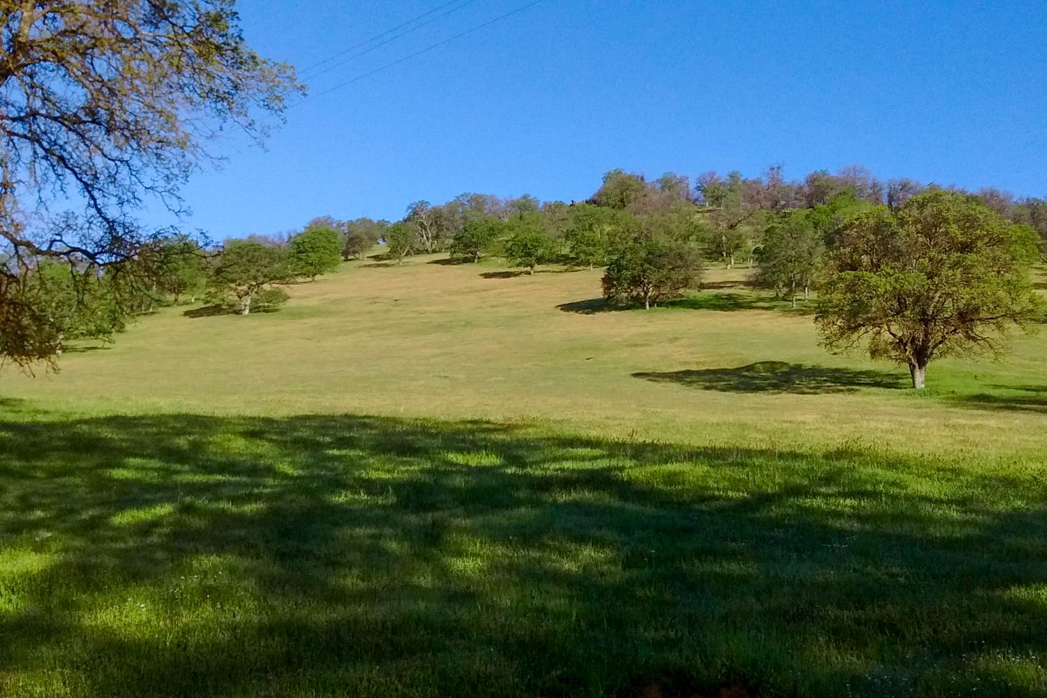 35294 Ruth Hill Rd, Yokuts Valley, CA 93675