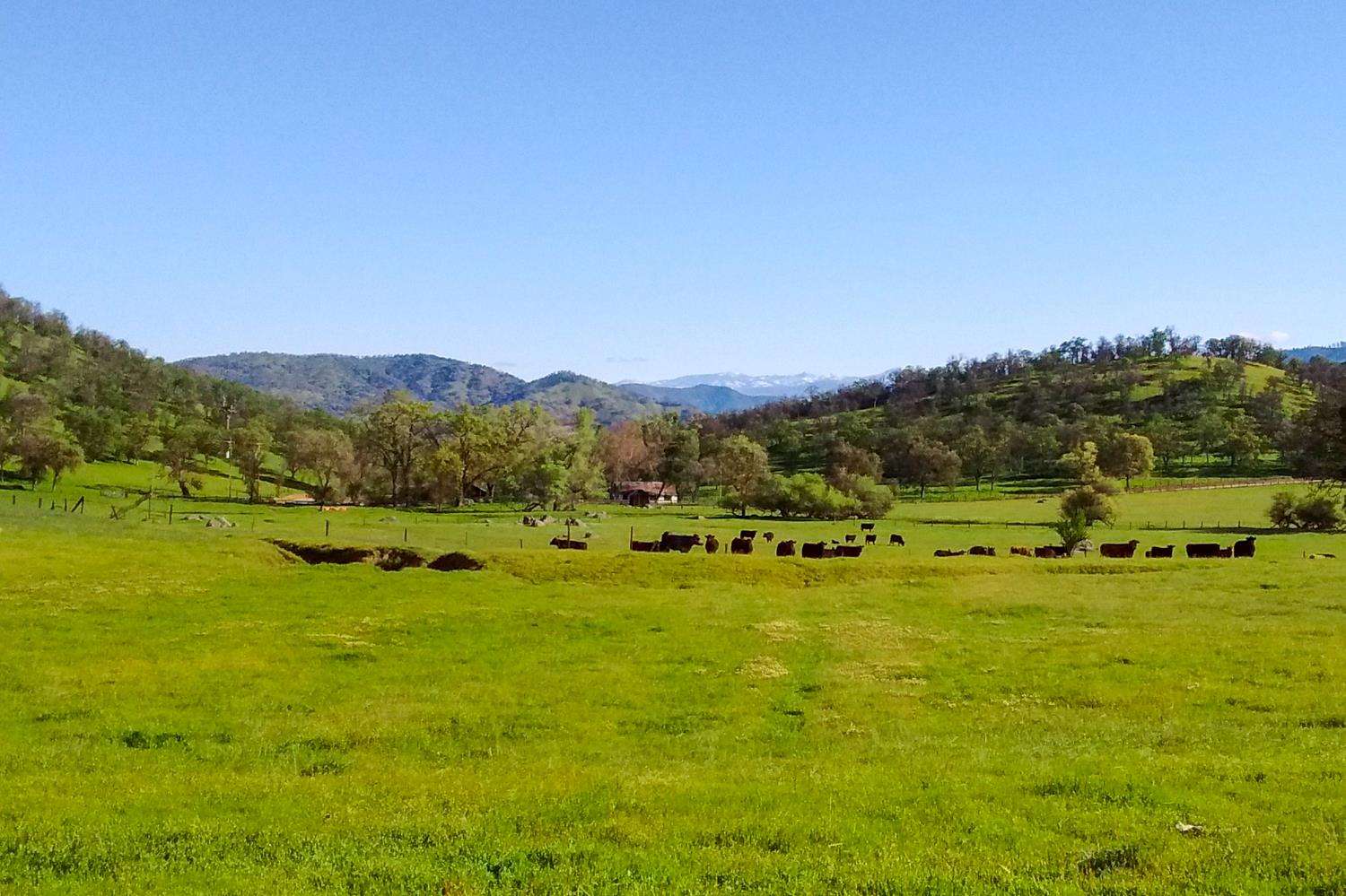 35294 Ruth Hill Rd, Yokuts Valley, CA 93675