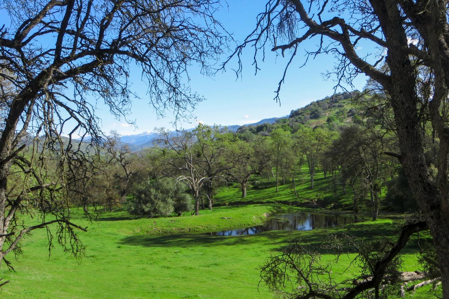 35294 Ruth Hill Rd, Yokuts Valley, CA 93675