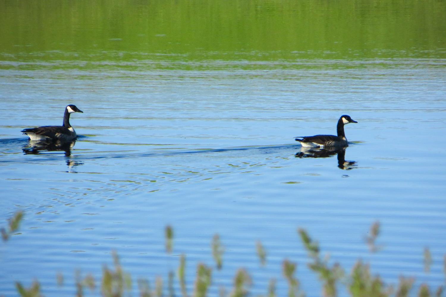 35294 Ruth Hill Rd, Yokuts Valley, CA 93675