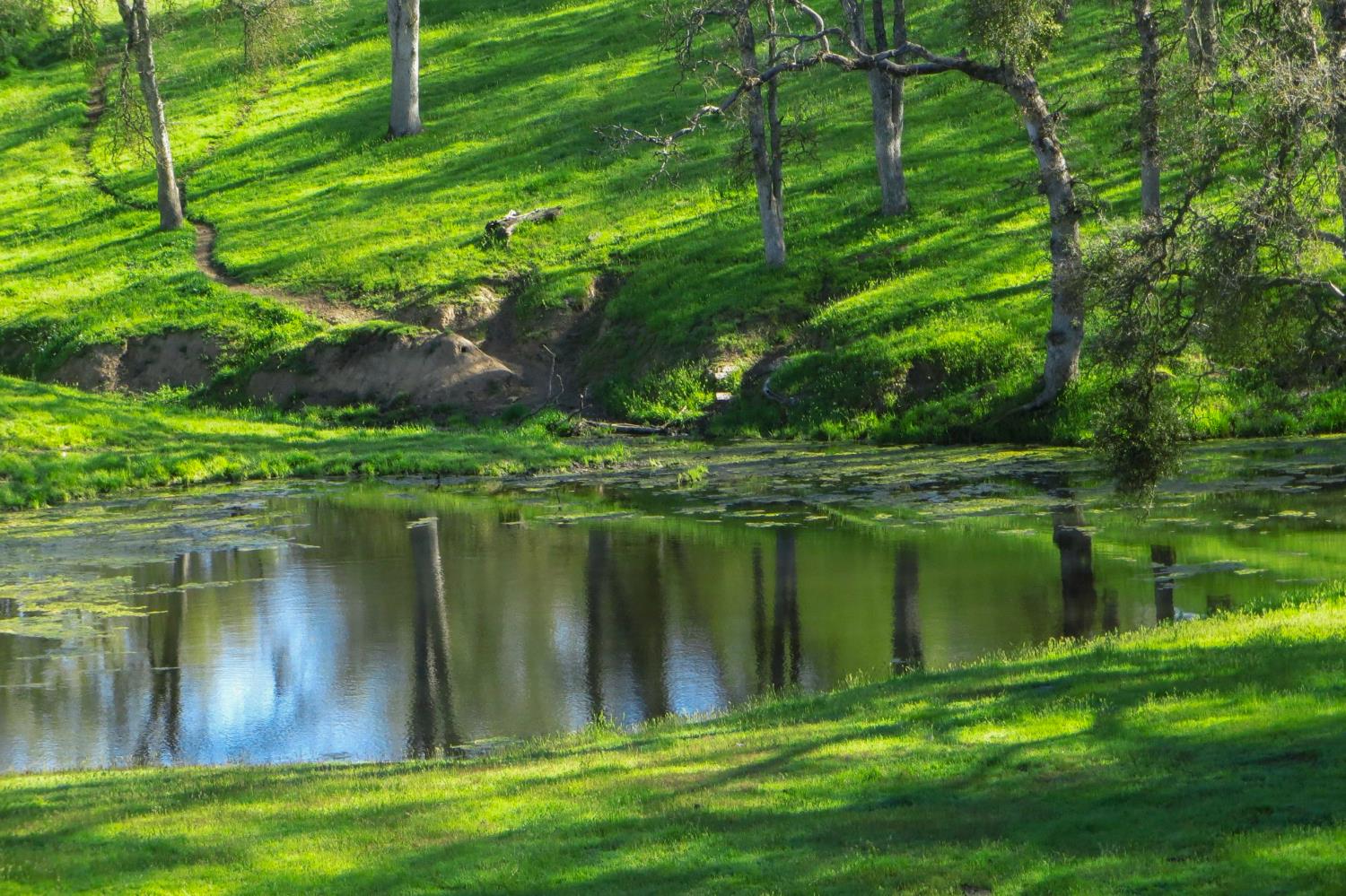 35294 Ruth Hill Rd, Yokuts Valley, CA 93675