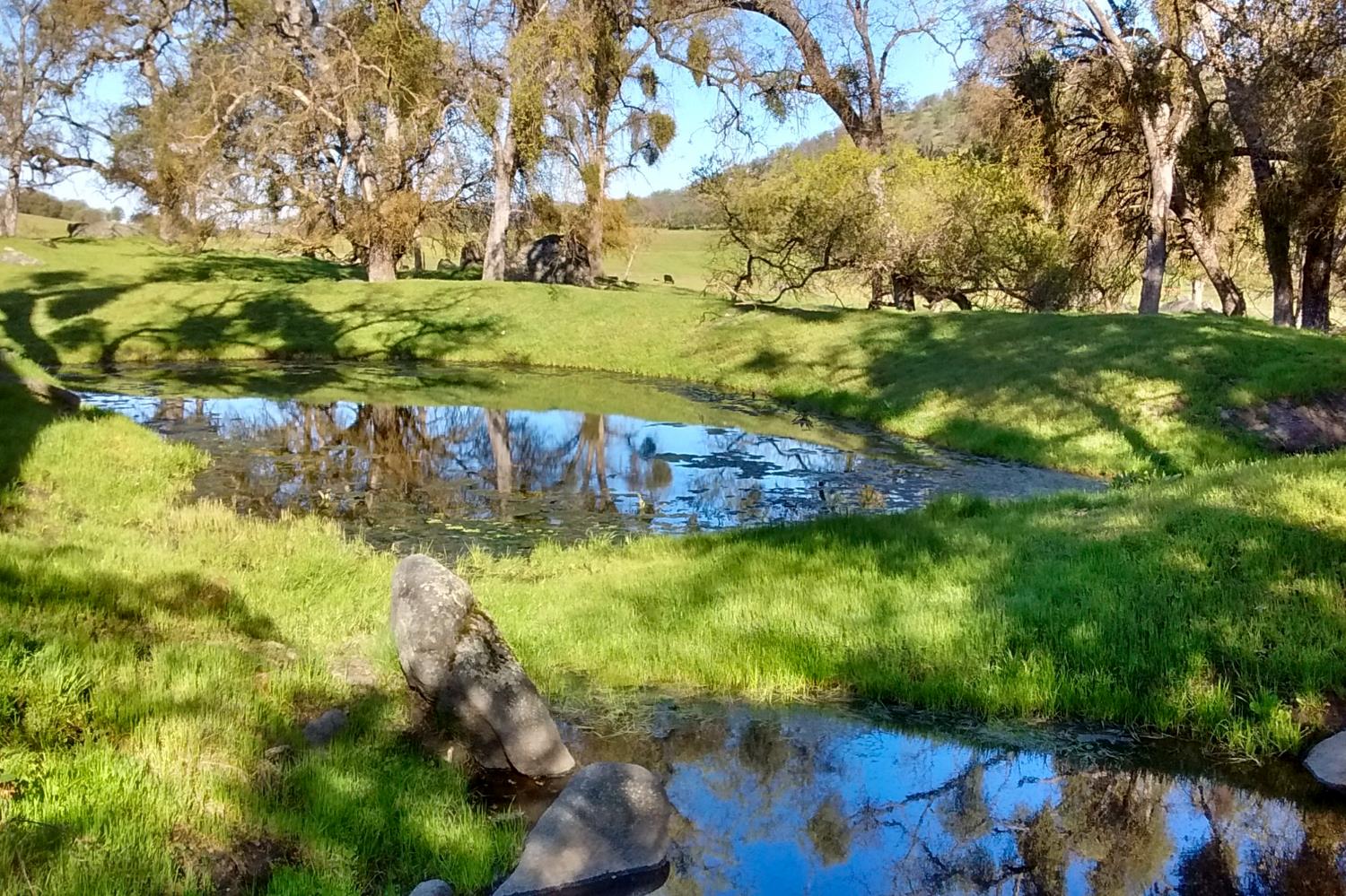 35294 Ruth Hill Rd, Yokuts Valley, CA 93675