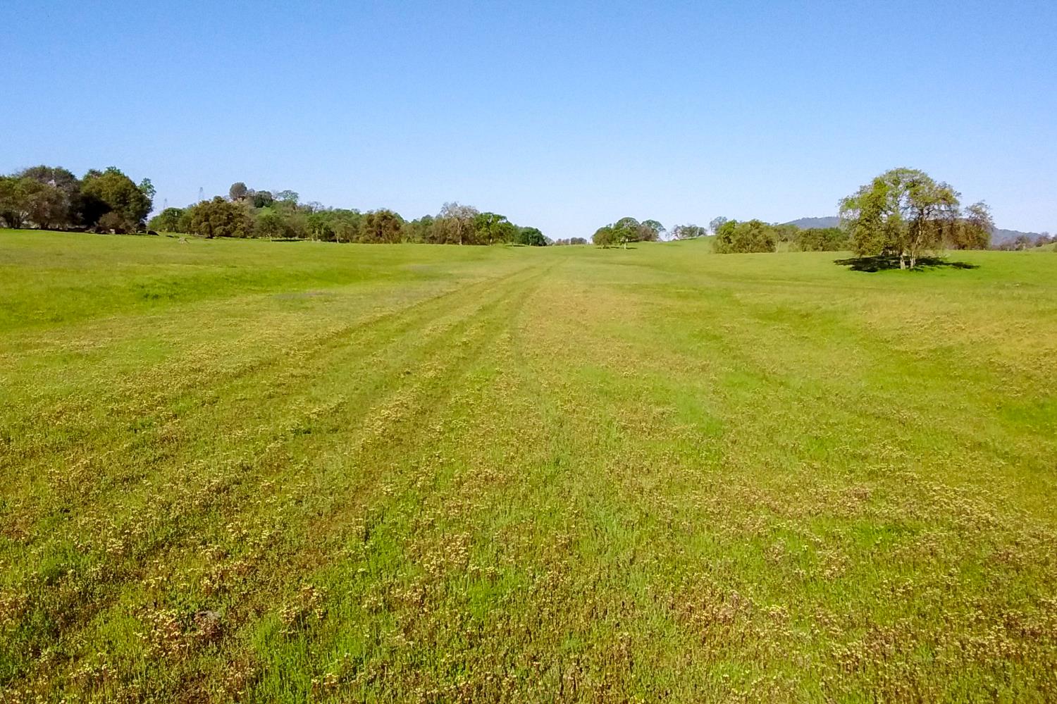 35294 Ruth Hill Rd, Yokuts Valley, CA 93675