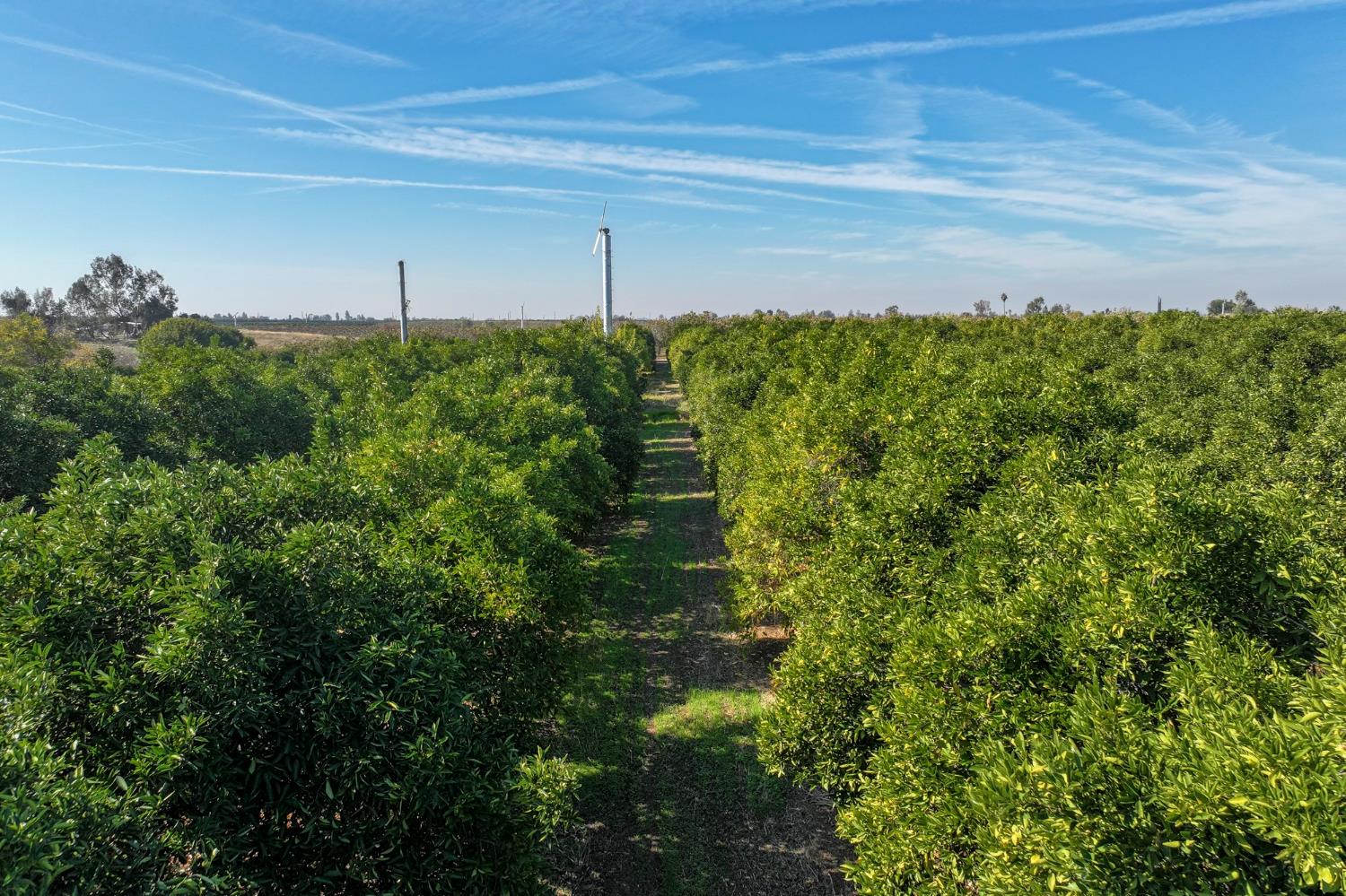 8521 Road 256, Terra Bella, CA 93270