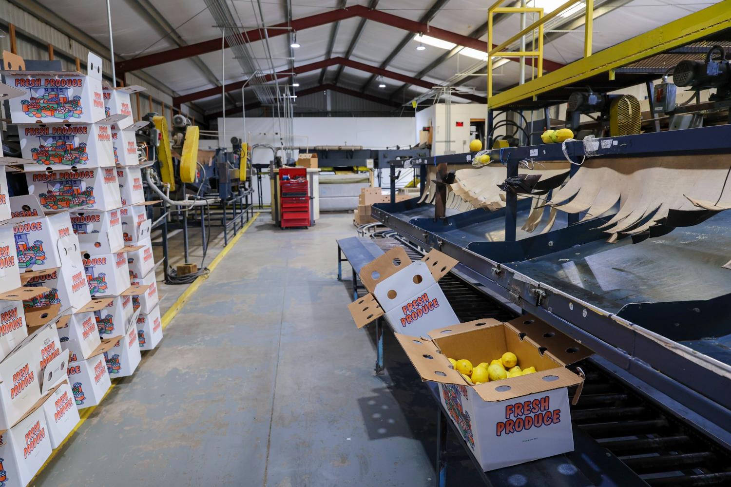 8521 Road 256, Terra Bella, CA 93270