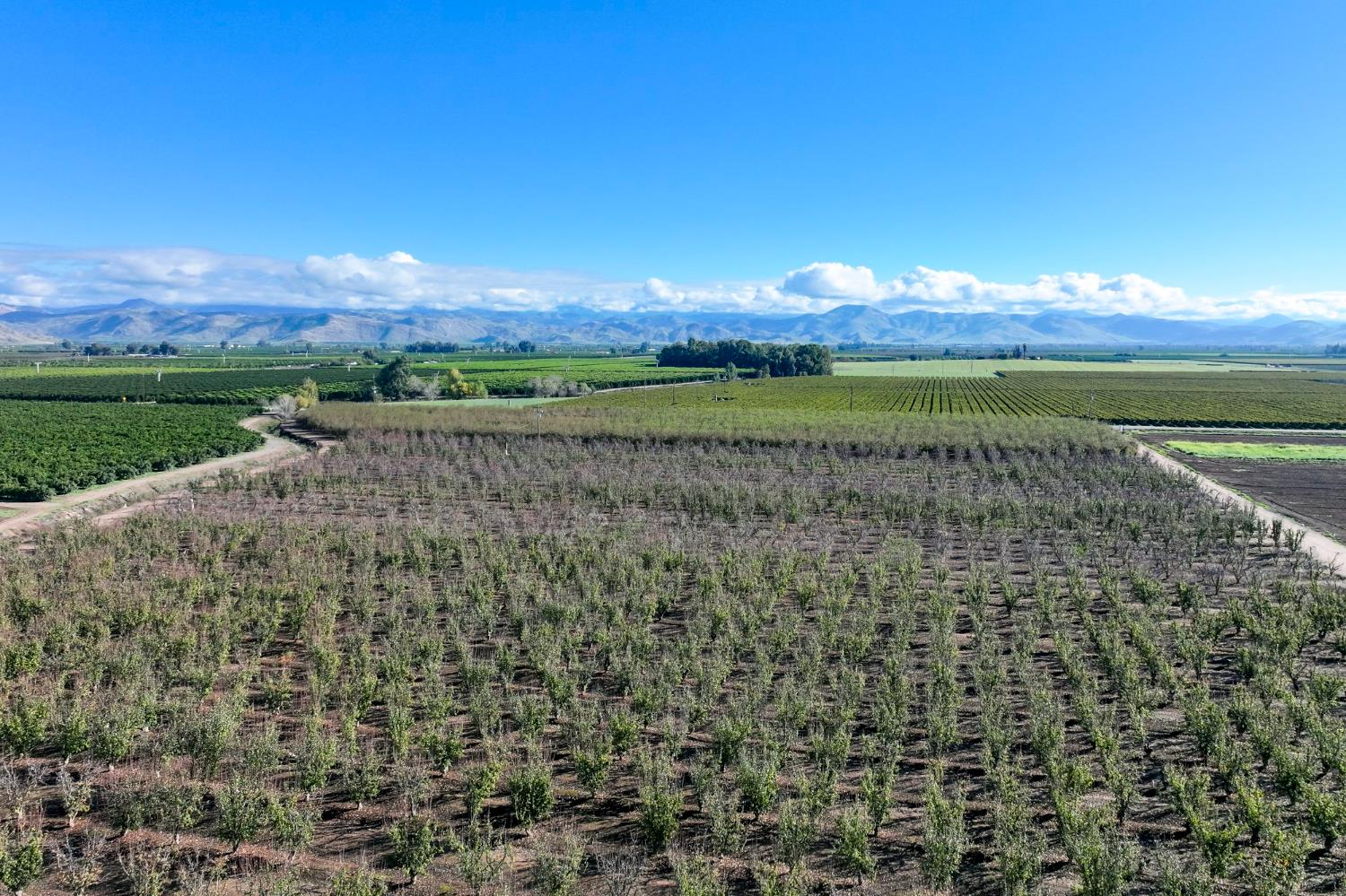 0 0 S Crawford Ave, Reedley, CA 93654