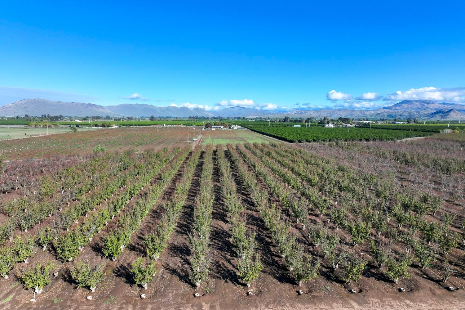 0 0 S Crawford Ave, Reedley, CA 93654