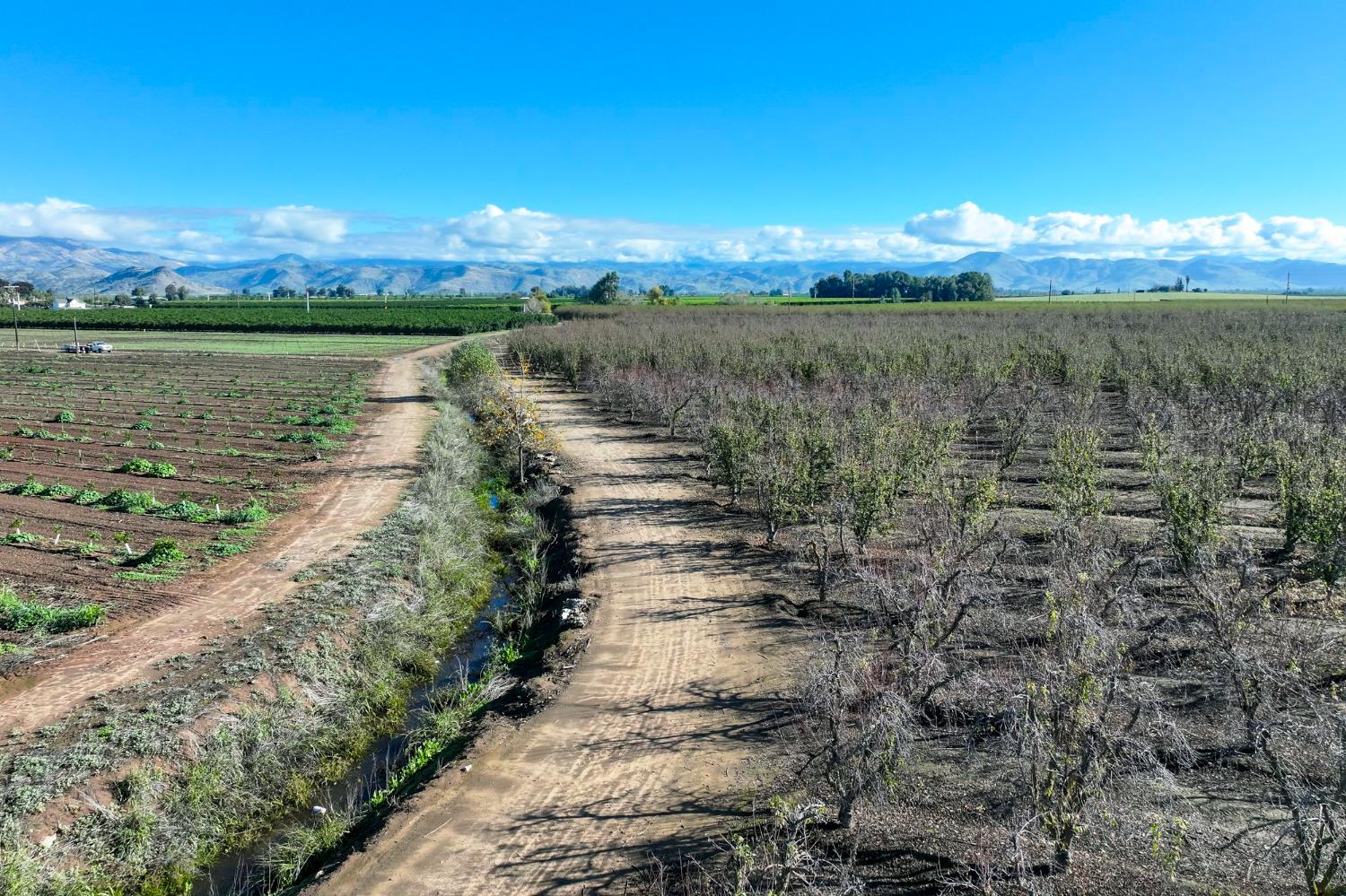 0 0 S Crawford Ave, Reedley, CA 93654