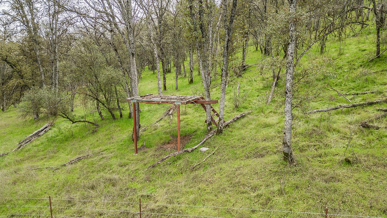 30240 Watts Valley Rd, Tollhouse, CA 93667